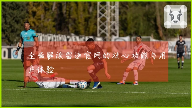 全面解读雷速官网的核心功能与用户体验