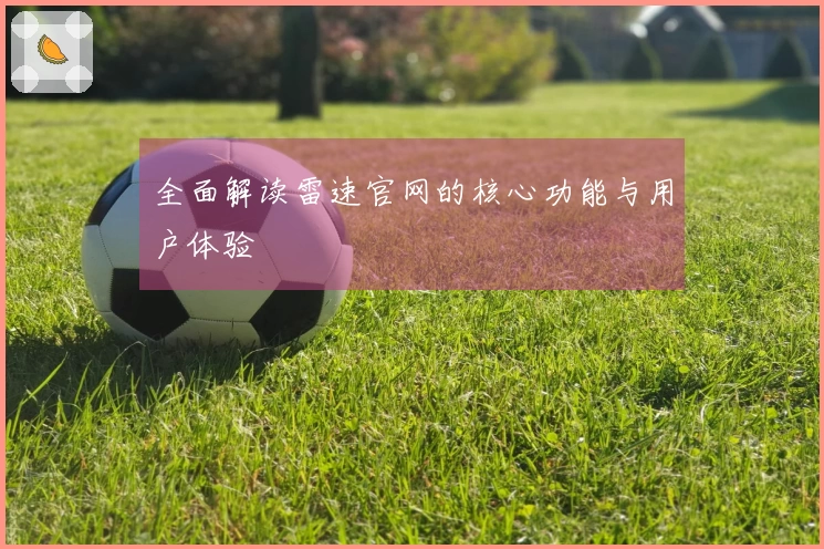 全面解读雷速官网的核心功能与用户体验